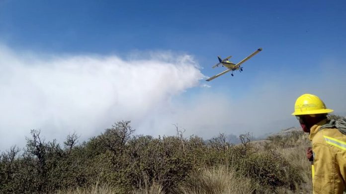 Continúa la alerta en Córdoba por los incendios forestales en Guasapampa: ya es el segundo foco más grande del mes