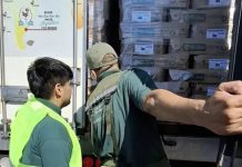 Decomisaron más de 1.600 kilos de carne en mal estado en Neuquén