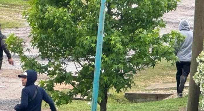 Delincuentes ingresaron a un barrio semicerrado en La Plata, robaron en dos casas y balearon a un vecino