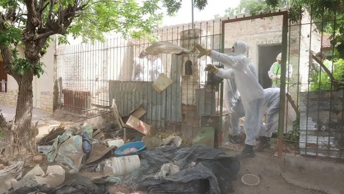 Neuquén: intervinieron la casa de una mujer de 80 años que era acumuladora