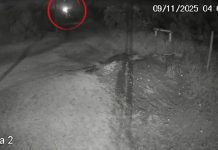 Video: así el femicida de Débora Bulacio arrastró el cuerpo de la víctima hasta el lugar donde la enterró