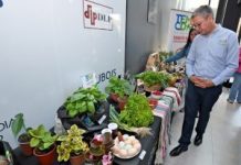 “El campo llegó al corazón de la ciudad», Edificio Vanguardia abre un nuevo espacio que consolida el fortalecimiento de la economía rural en Temuco