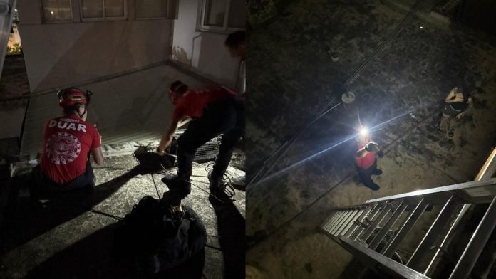 Córdoba: intentó rescatar a su gato, quedó atrapada en un techo y tuvo que ser salvada por bomberos