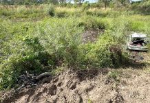 Brutal choque entre un auto y una moto en Santa Fe: hay dos muertos y un niño en grave estado