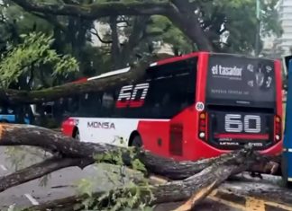 Cayó un árbol en plena avenida, provocó un choque entre dos colectivos y cuatro personas resultaron heridas