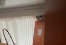 Cuatro delincuentes asaltaron a la madre de Sergio Lapegüe en su casa de Banfield