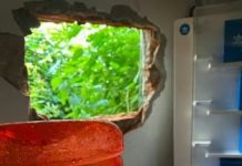 Detuvieron a un ex gendarme por un robo boquetero en una relojería de Lomas de Zamora