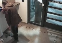 Echaron de su empleo público al hijo de un ex gobernador de Neuquén por “ñoqui”: el video que lo muestra fichando y escapando