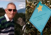 Enjuician al acusado de matar con su auto a un abuelo que cruzaba por la senda peatonal: la mentira que postergó el debate