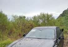 Entre Ríos: un conductor perdió el control de un auto de alta gama y terminó en la banquina