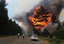 Incendios en Chubut: brigadistas retoman el combate y esperan con optimismo dos jornadas de lluvia leve