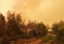 Incendios en Chubut: el avance del fuego obligó a pausar las tareas de combate y cortar la ruta 71