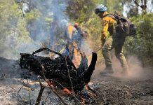 Incendios en Chubut: el viento reavivó las llamas en algunos puntos y amenaza zonas habitadas