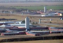 Querían ingresar droga a un penal de Córdoba oculta en un cargamento de limones y fueron descubiertos