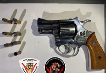 Rosario: discutió con sus vecinos por un perro, los amenazó con un arma de fuego y fue detenido