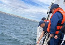 “Tuvimos un accidente bajo el agua y no la encontramos”: la versión del novio de la turista buscada en Puerto Madryn