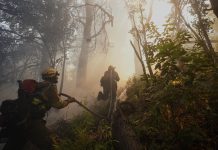 Un abogado ambientalista alertó sobre la urgencia de tipificar el ecocidio: “La justicia no puede mirar para otro lado”