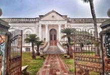 Un hombre murió tras ser atacado por un enjambre de avispas en Santa Fe