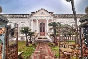 Un hombre murió tras ser atacado por un enjambre de avispas en Santa Fe