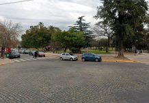 Un paseador de perros encontró un hombre muerto en Parque Saavedra: investigan si fue apuñalado